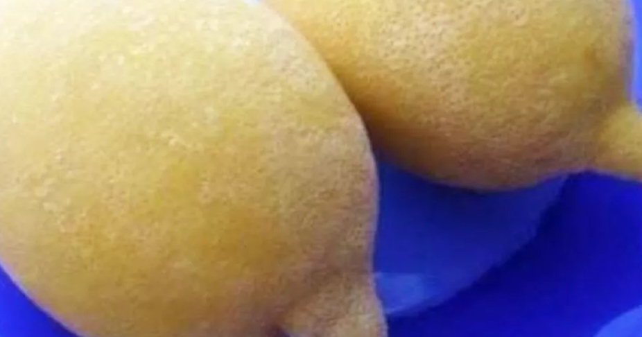 Почему замороженные лимоны — одна из лучших приправ для любого блюда